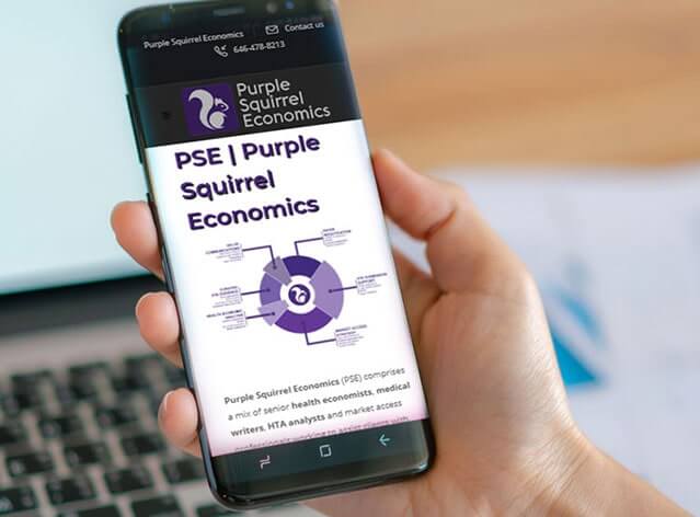 Website Correction  of Purple Squirrel Economics